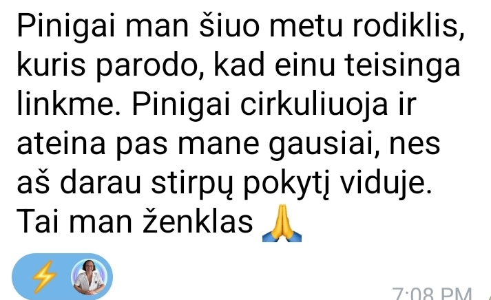 Atsiliepimas 13